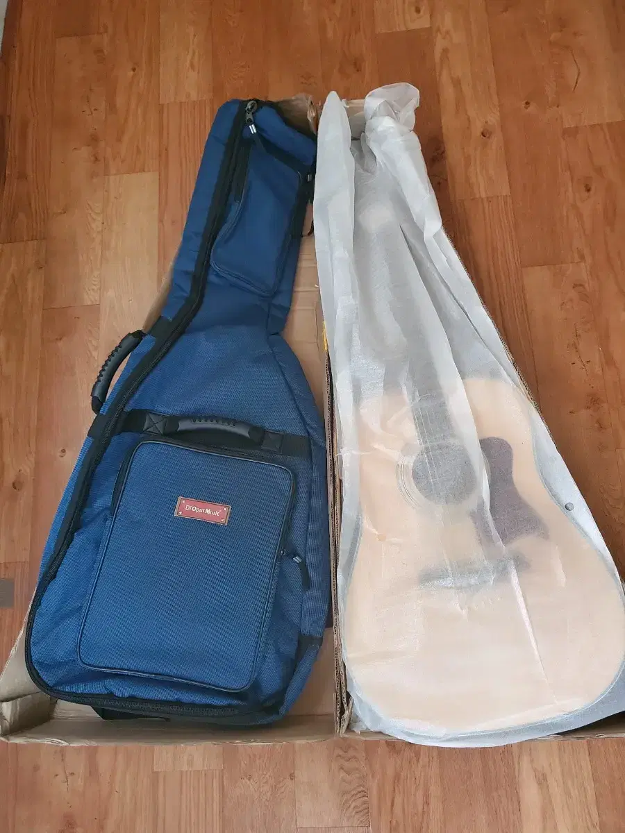 New, unused whole guitar with bag