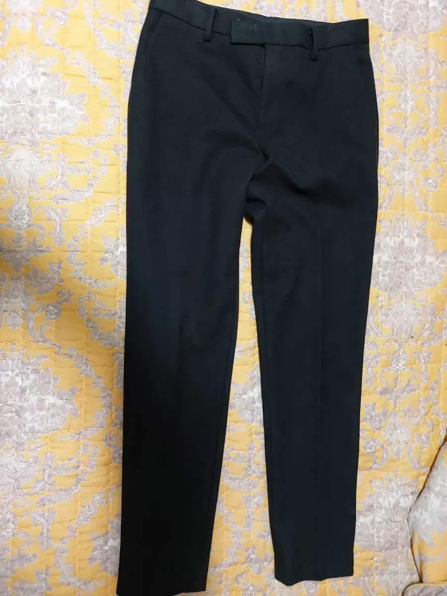 Concept One Brushed Slacks