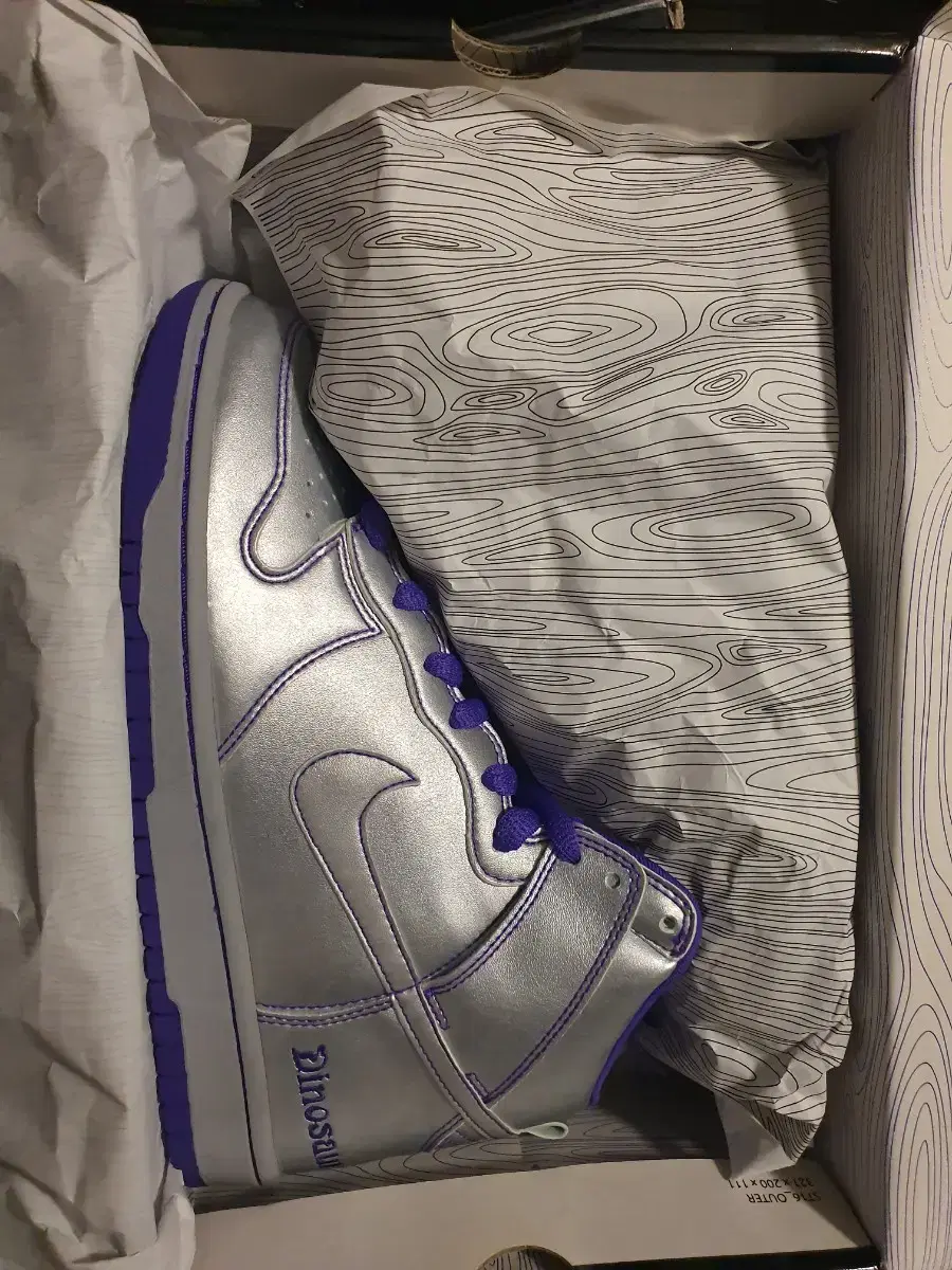 dinosaur jr nike