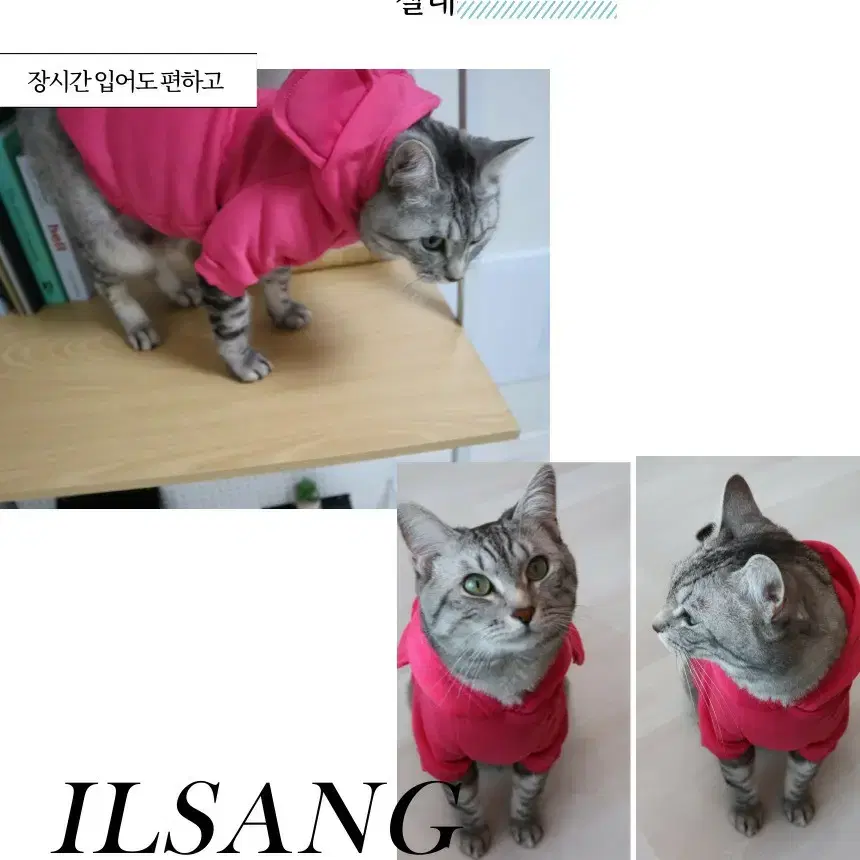 강아지 고양이 기모후드