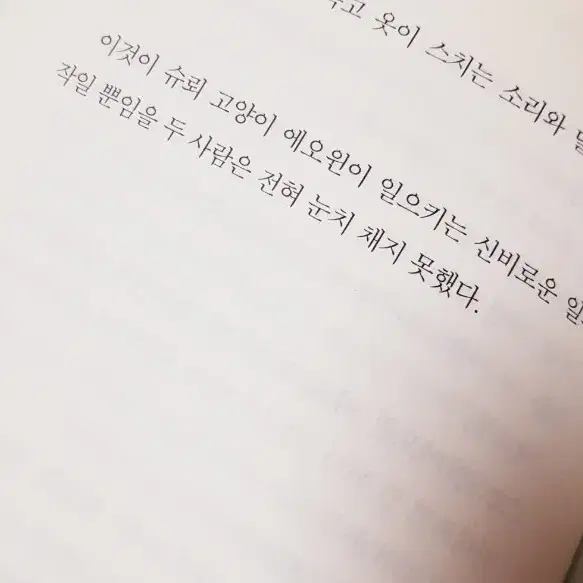 고양이 도서 세트. 덤드림 (안녕, 고양이는 고마웠어요 외 4권)