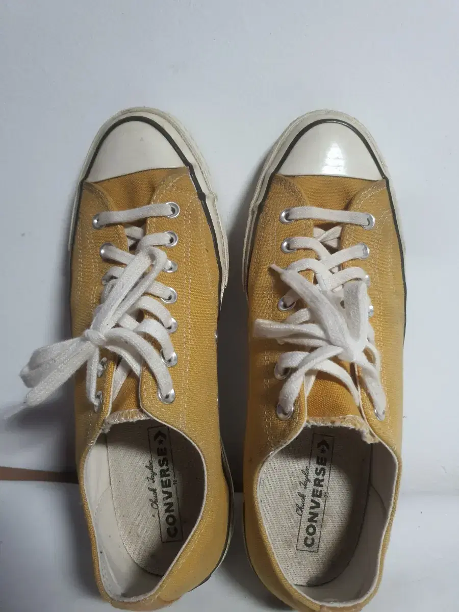 CONVERSE Chuck Taylor Sunflower 270