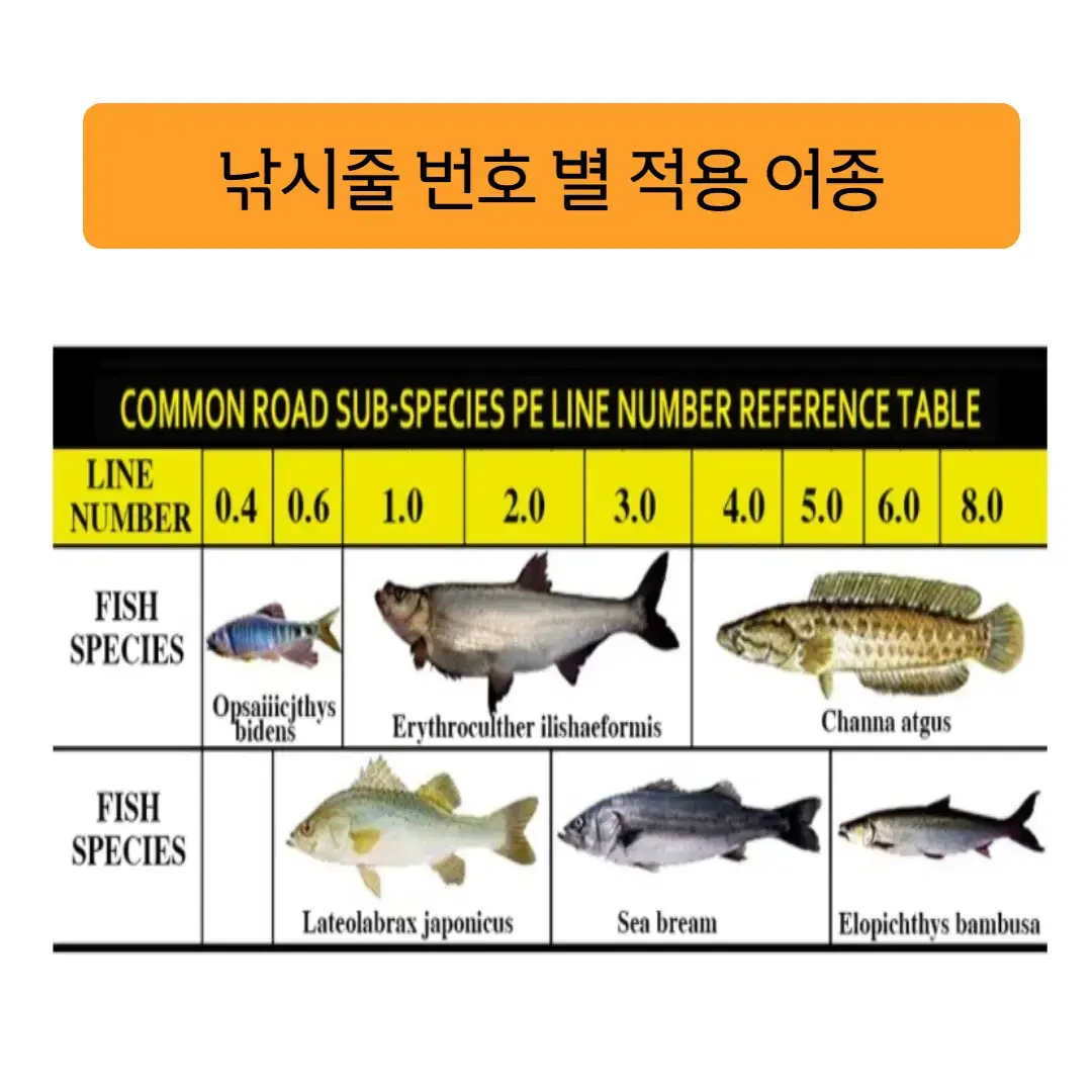 GHOTDA 4합사 6호 300M 0.4mm 60lb 핑크색