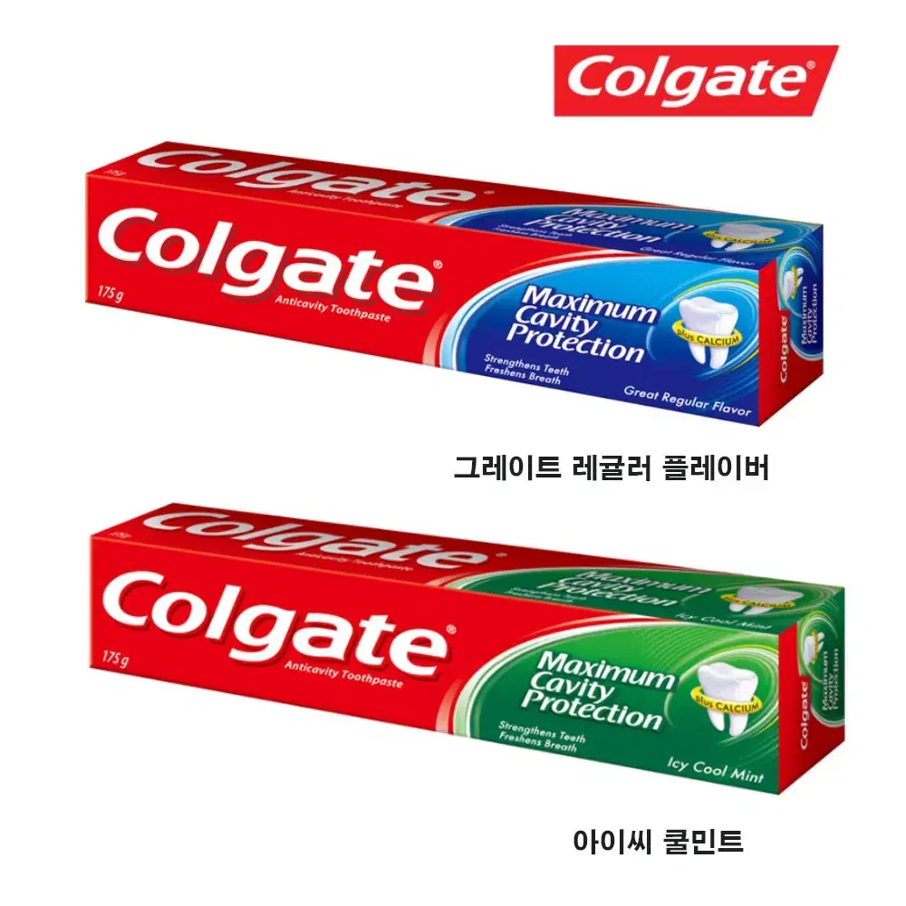 콜게이트 그레이트 레귤러 플레이버 치약 175g x 8 개 