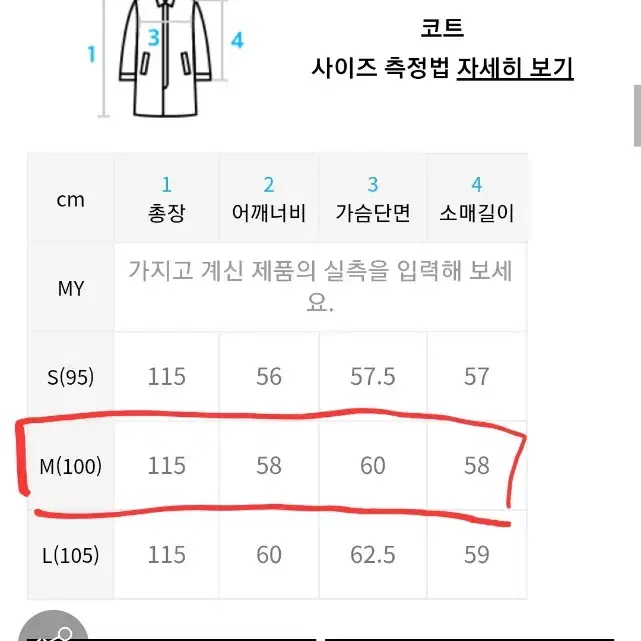 벨리에 코트, 체감상 사이즈 [L, M, 100, 105]