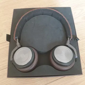 Bang \u0026 Olufsen BeoPlay H8 (Gray Hazel) | Headphones SG