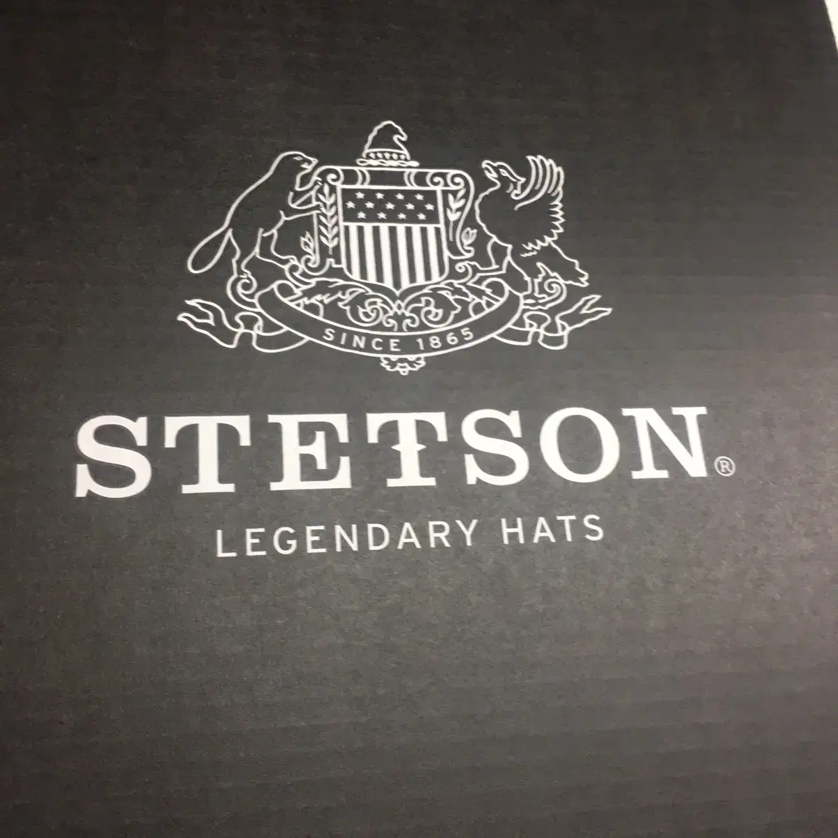 [새상품] stetson 스탯슨 스트라토라이너