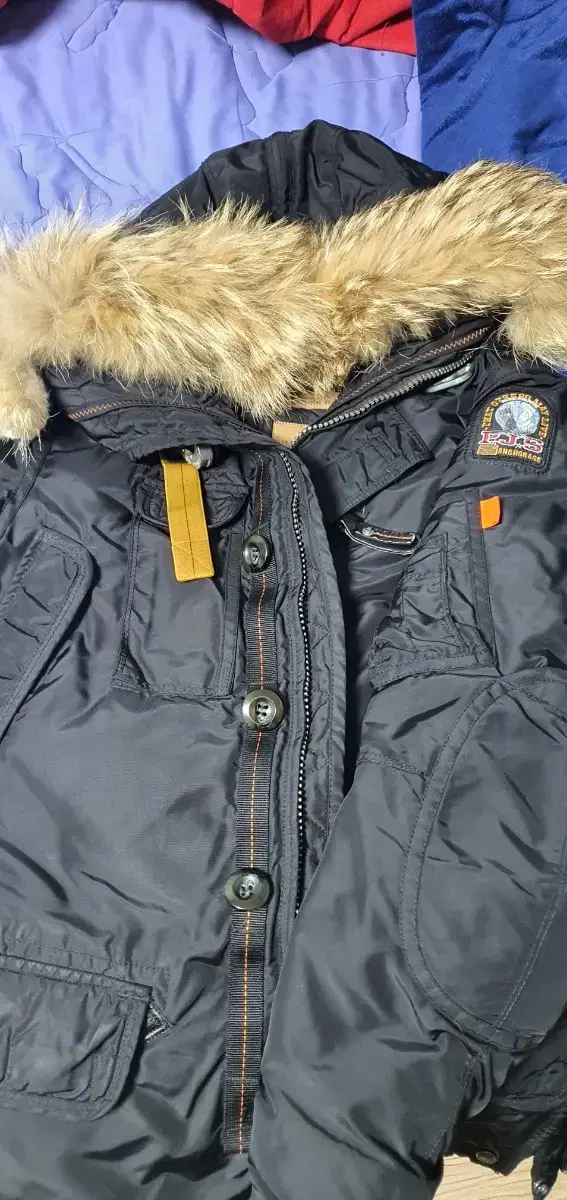 The hummingbird) Parajumpers Kodiak Masterpiece XS