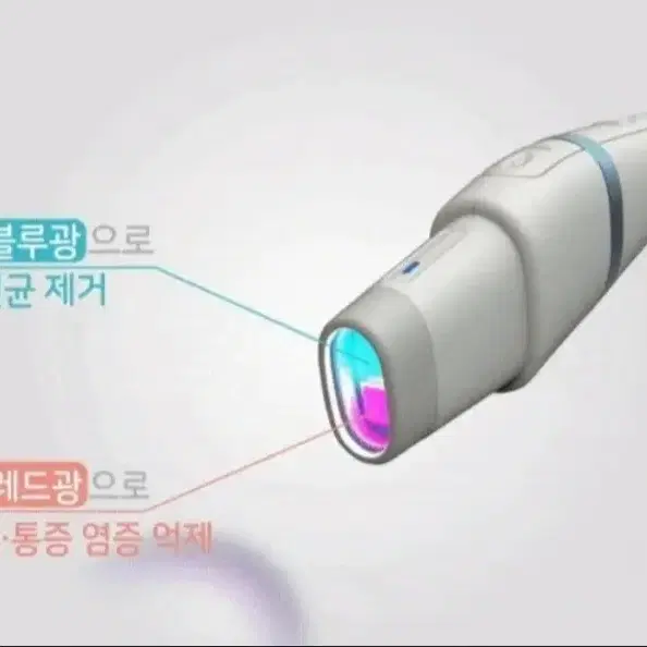 애견 귓병 예방 이어케어 LED 염증치료기(습진도 가능)