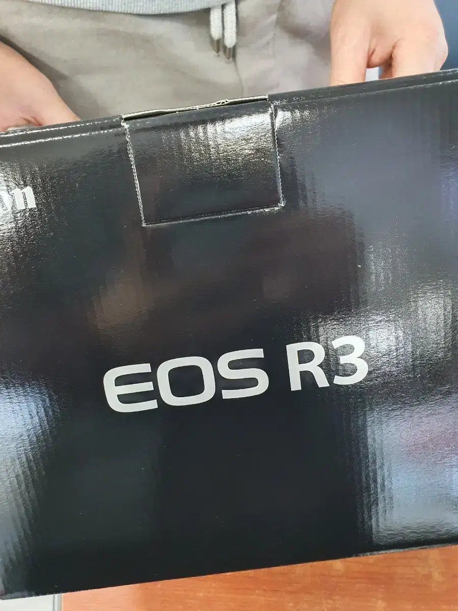 캐논 eos r3  바디