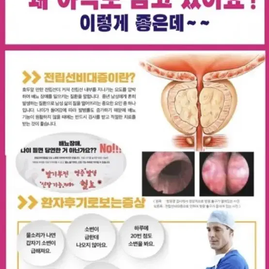 바디닥터