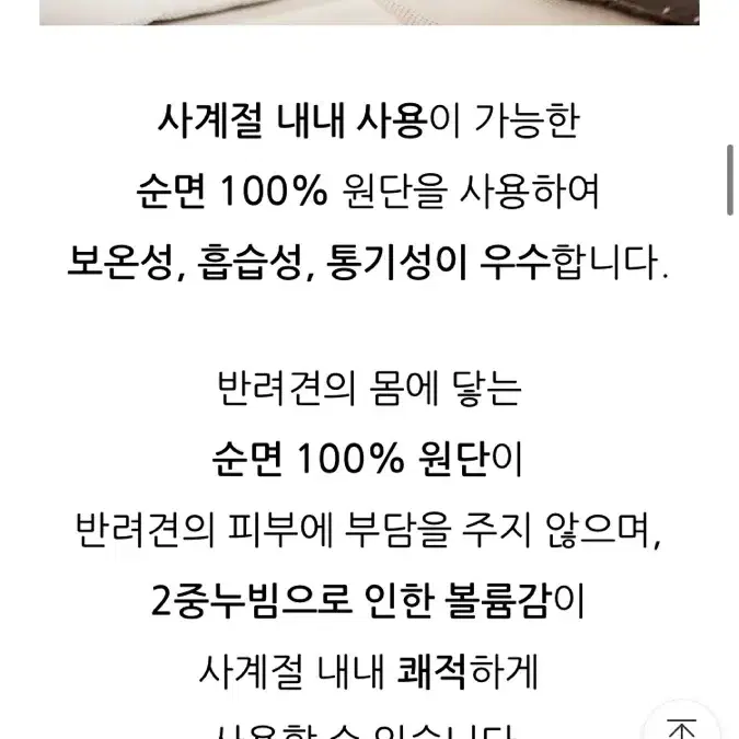 페스텝 사계절 누빔 강아지방석