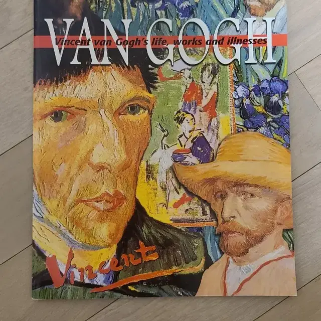 vincentvan gogh's life, works and illnes