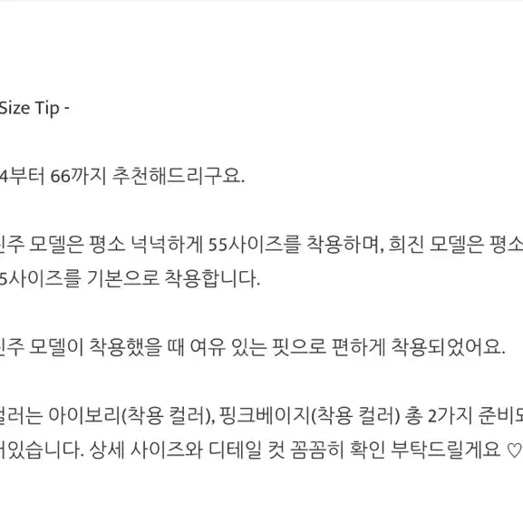 플뤼르블라우스 하객룩 데이트룩 레이스블라우스 퍼빗블라우스 여자기본블라우스