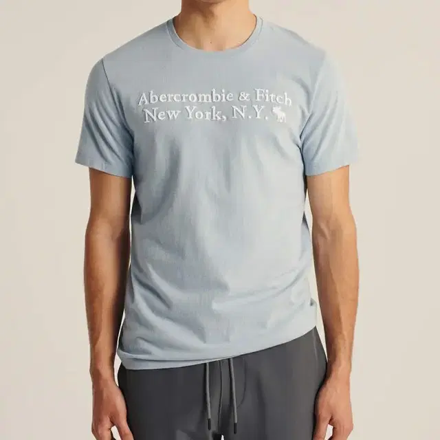 Abercrombie 아베크롬비 그래픽 로고 티 (새상품) 