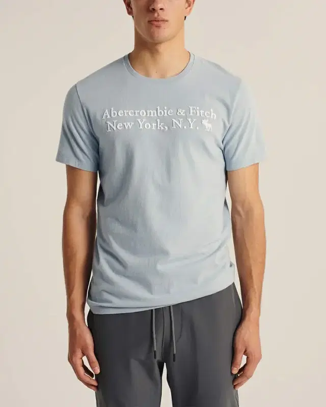 Abercrombie 아베크롬비 그래픽 로고 티 (새상품) 