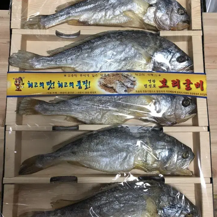 영광 부세 보리굴비 대자 [산지직송]