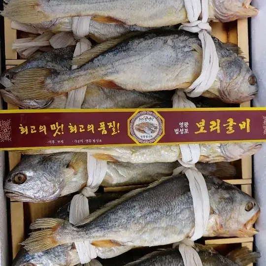 영광 부세 보리굴비 특대 [산지직송] 선물용