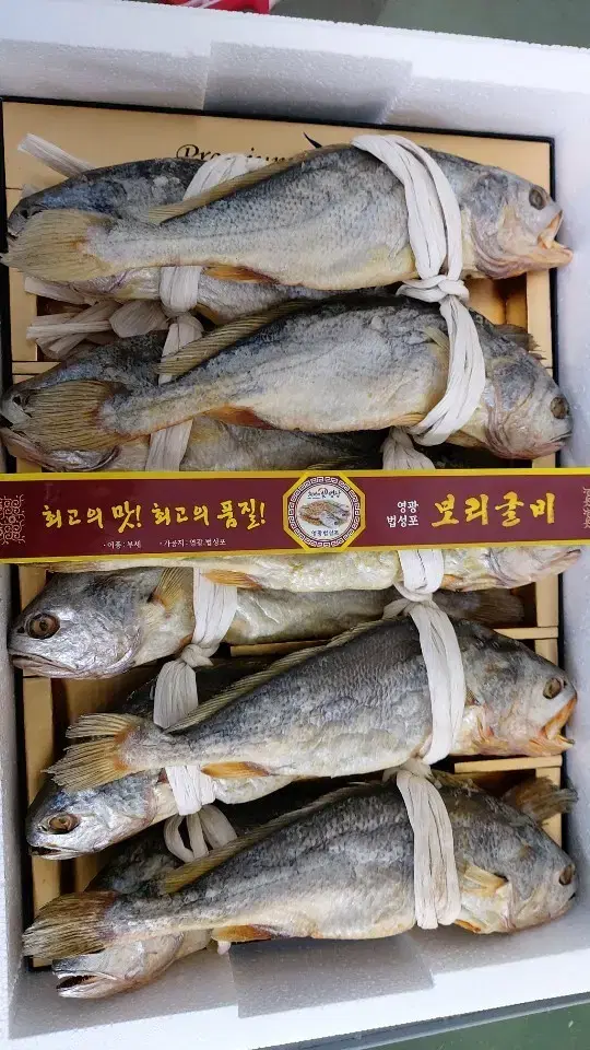 영광 부세 보리굴비 특대 [산지직송] 선물용