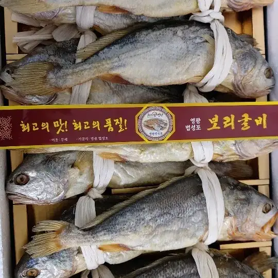 영광 부세 보리굴비 특대 [산지직송] 선물용