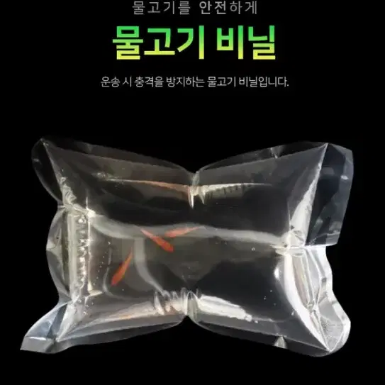 [새상품+택포] 물고기비닐10장 물고기 안전하게 옮기기 어항꾸미기