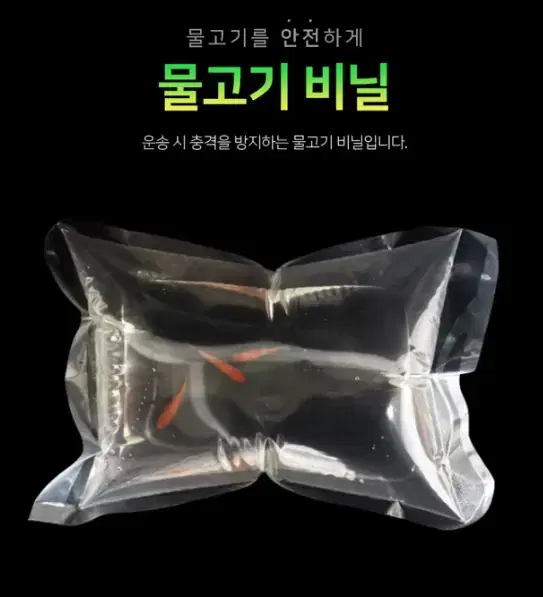 [새상품+택포] 물고기비닐10장 물고기 안전하게 옮기기 어항꾸미기