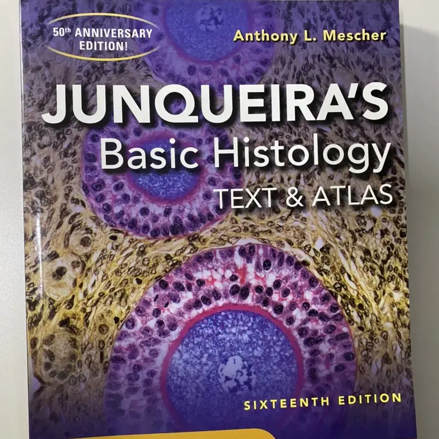 조직학 Junqueira's basic histology 영어 원서 판매