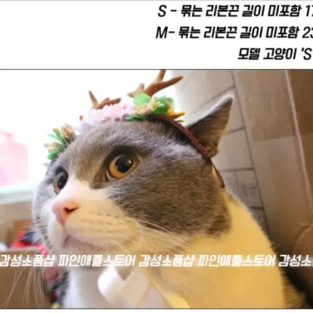 크리스마스 루돌프 강아지 고양이 화관 머리띠 반려동물 촬영 유튜브 모자