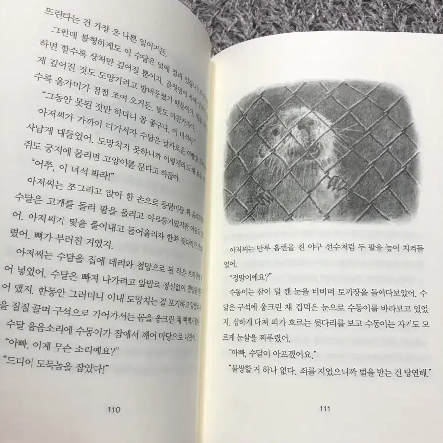 야생동물 구조대 삼천원