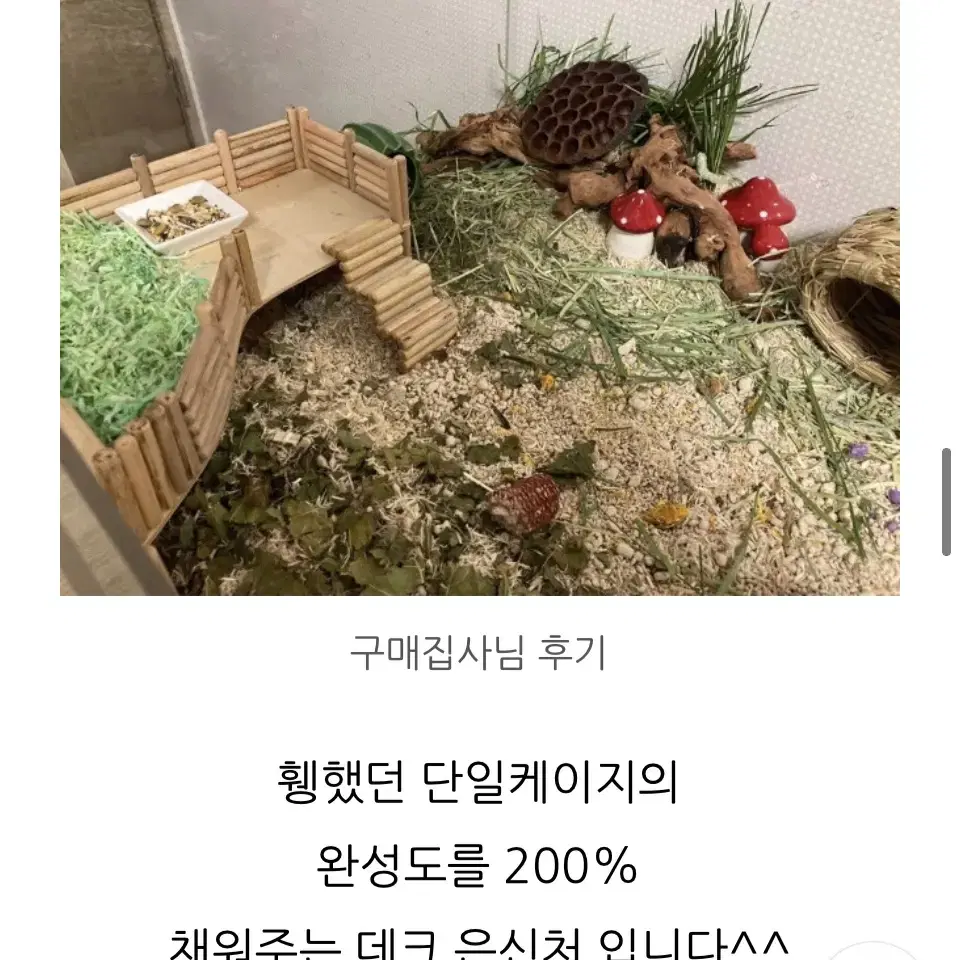 (무료배송)햄스터 은신처 대사이즈/햄스터집/소동물용품/은신처