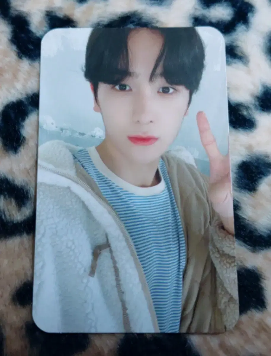 The Boyz hyunjae hangten photocard