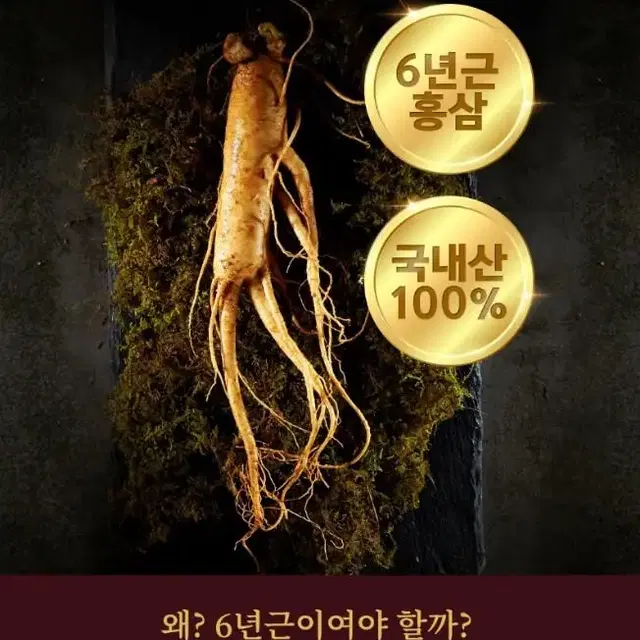 홍삼녹용스틱 100포 대용량