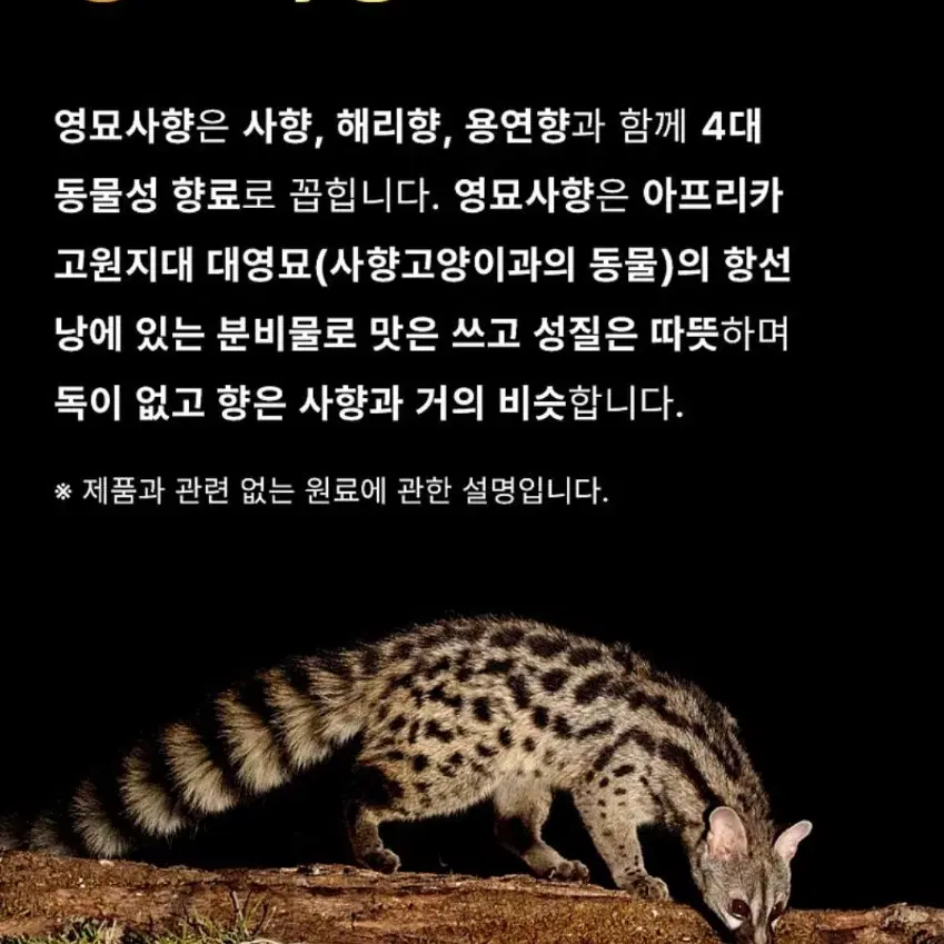 홍삼녹용스틱 100포 대용량