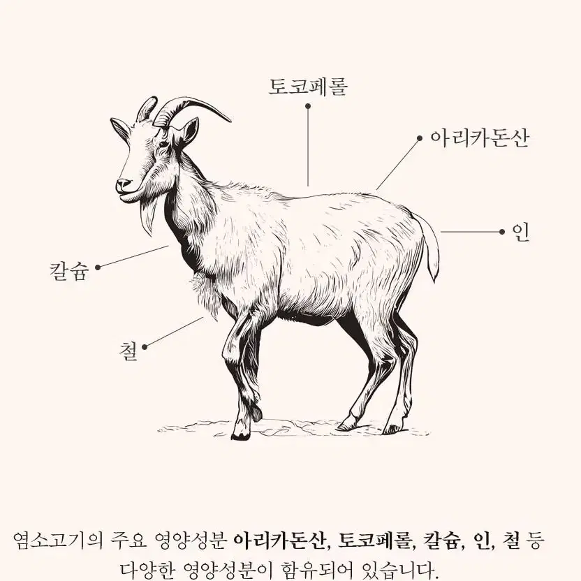 흑염소 선물세트 70mlx30포