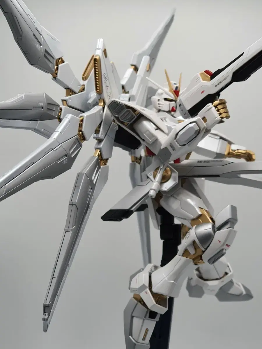 mg Strike Freedom Painted Model for Sale Vahn's Gundam