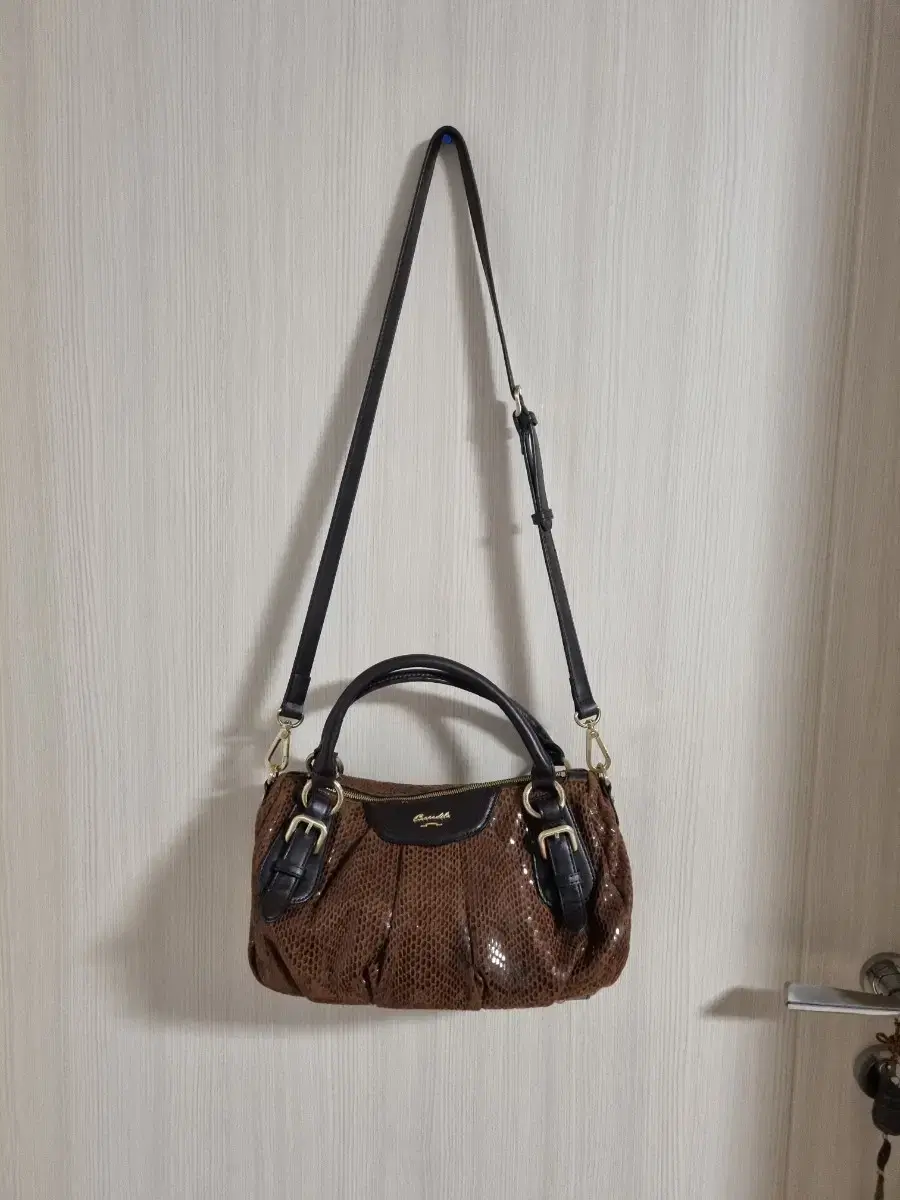 Crocodile Bag 