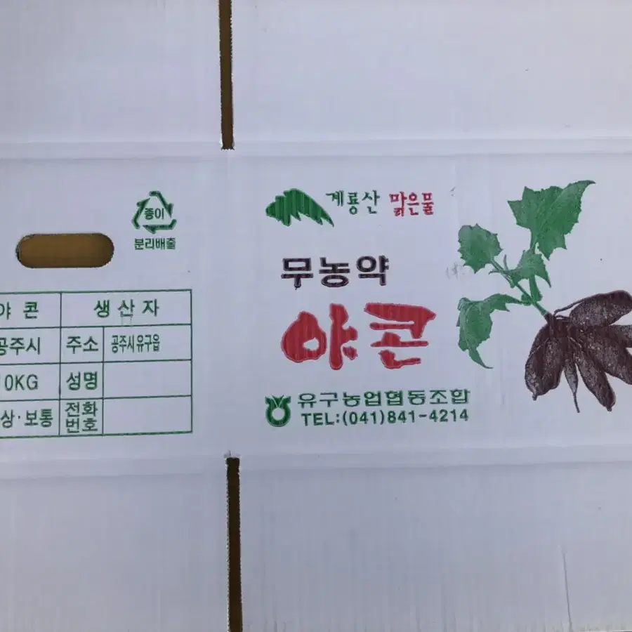 무농약/야콘즙