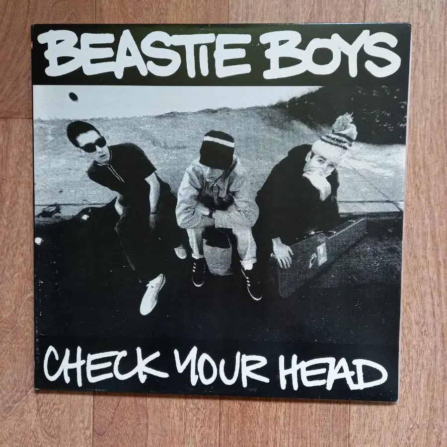 beastie boys lp 비스티 보이스 엘피