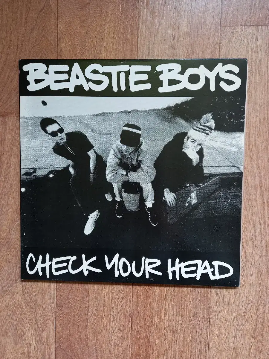 beastie boys lp 비스티 보이스 엘피