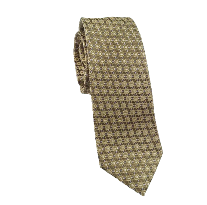 Zegna tie