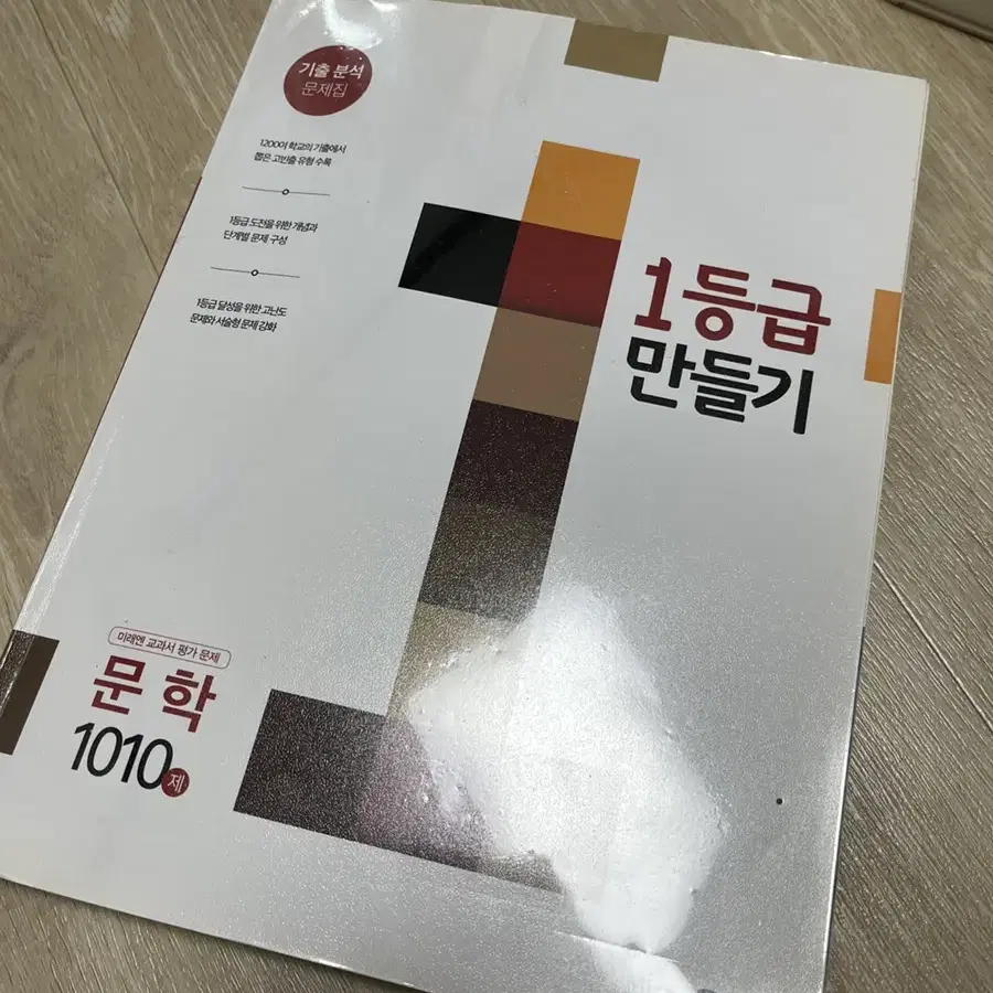 1등급만들 문학 1010제