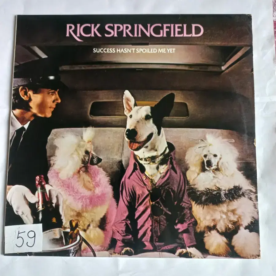 Lp중고 릭 스프링필드 RICK SPRINGFIELD 음반 판매합니다.