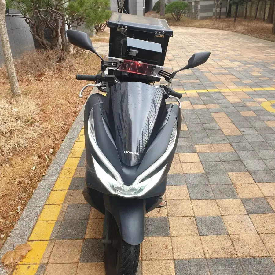 pcx19년식