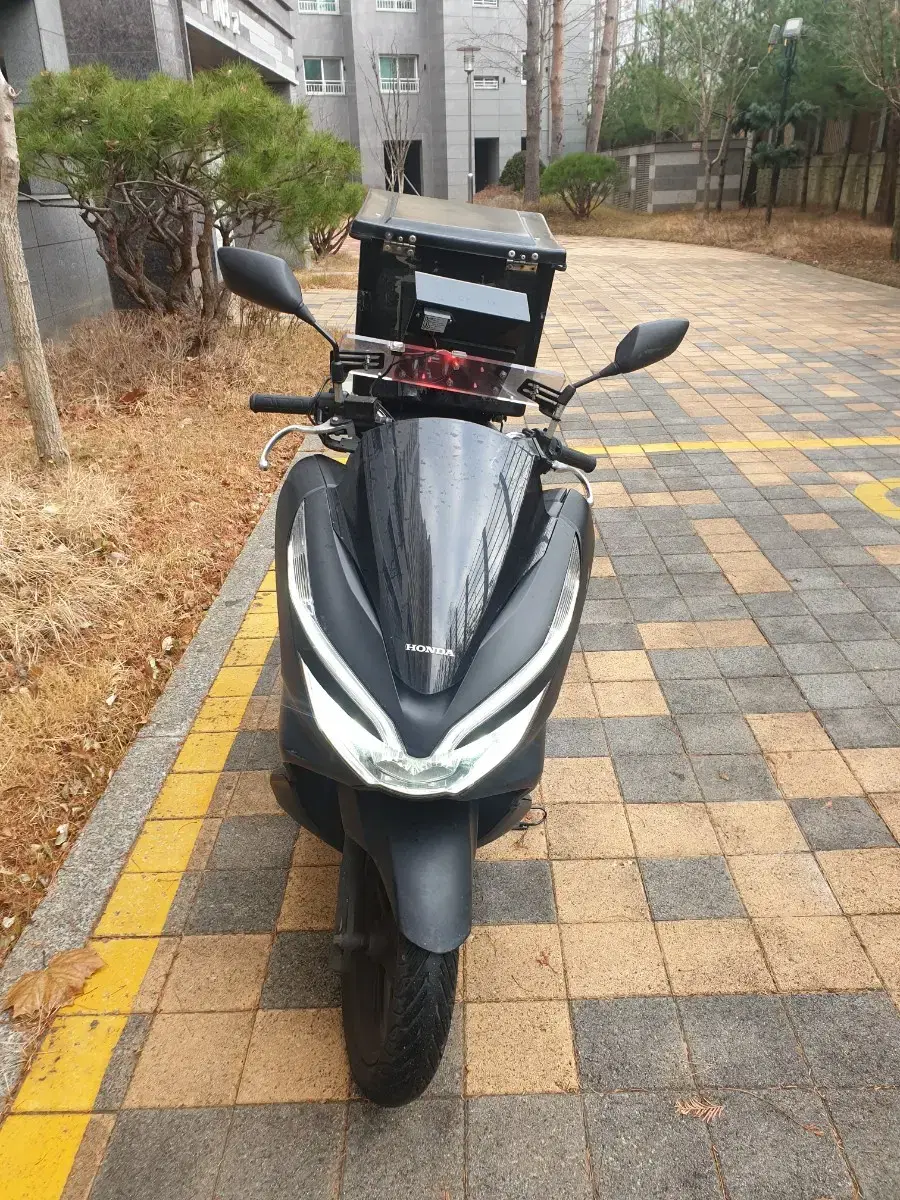 pcx19년식