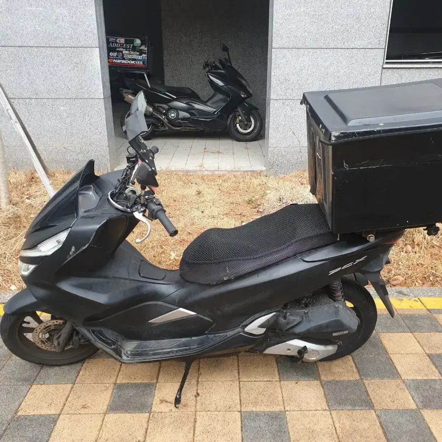 pcx19년식