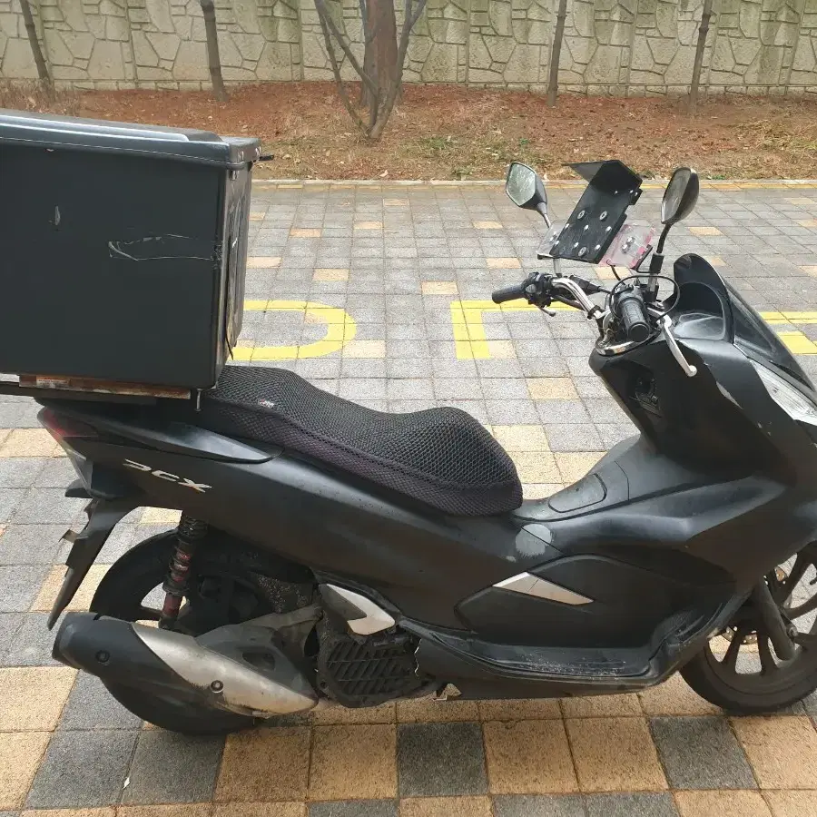 pcx19년식