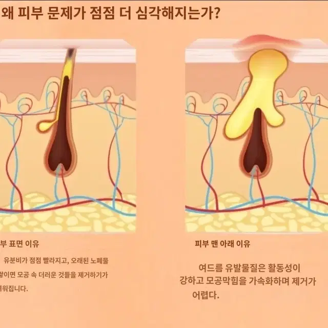 2일배송 페이스 세럼 모공 수축 보습 화이트닝 주름 방지 천연 에센스