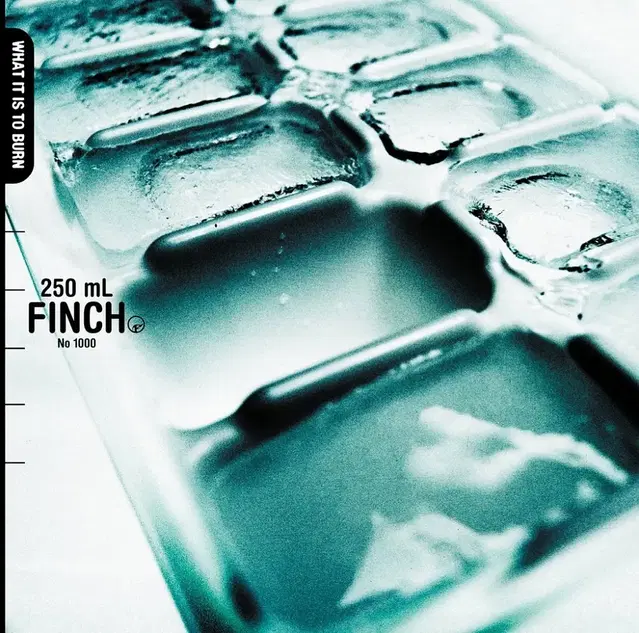 Finch 핀치 What It Is To Born 앨범 시디 Cd