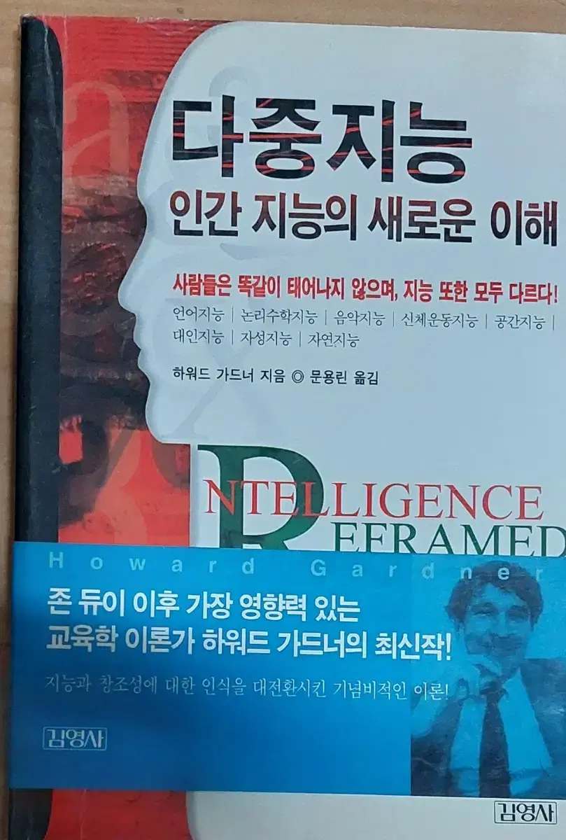 다중지능 인간 지능의 새로운 이해