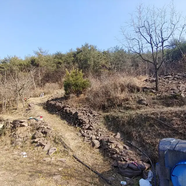 저렴한 싼 맹지 임야 경상남도 의령군 정곡면 죽전리 산 229